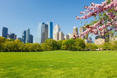 central park at spring sunny day, new york city