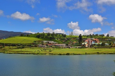 landscape with gregory lake in nuwara eliya - sri lanka