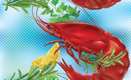 shrimp on a blue transparent background. vector illustration