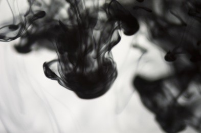 black ink cuttlefish dissolve in water