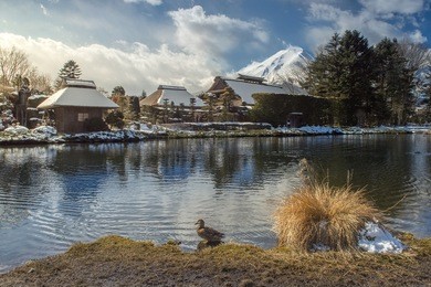 fuji and oshino hakkai in winter season.