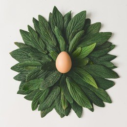 easter egg in nest made of green leaves. creative easter concept. minimal flat lay.