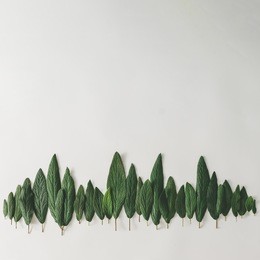 forest treeline made of green leaves on bright background. minimal nature concept. flat lay.