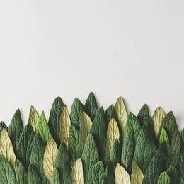forest treeline made of green leaves on bright background. minimal nature concept. flat lay.