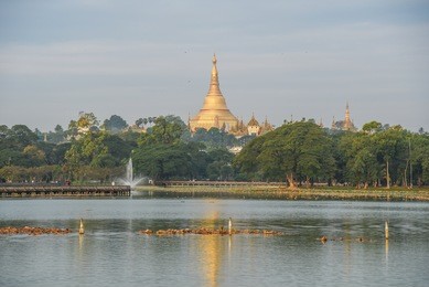 beautiful view of golden shwedagon pagoda (shwedagon zedi daw) from kandawgyi lake, famous landmark in yangon city and is the most sacred buddhist pagoda in myanmar