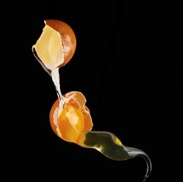 egg yolk dripping, falling on black background. egg yolk falling frozen on air.