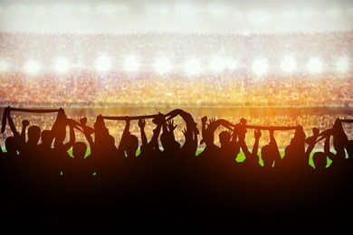 silhouettes of soccer or rugby supporters in the stadium during match