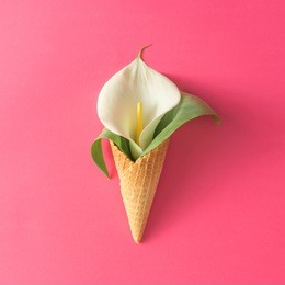 ice cream cone with calla lily flower and leaves on pink background. flat lay. minimal summer concept.