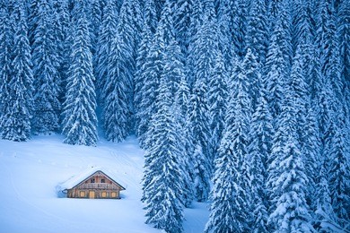 beautiful view of traditional rustic wooden mountain chalet secluded in idyllic forest in the alps on a cold sunny day in winter, gosausee, salzkammergut, upper austria region, austria