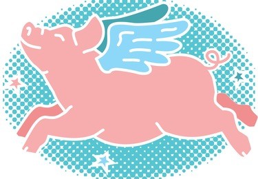 flying pig