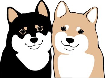 japanese dog shiba inu