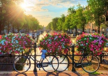beautiful summer sunrise on the famous unesco world heritage canals of amsterdam, the netherlands, with vibrant flowers and bicycles on a bridge