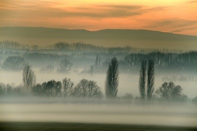 countryside landscape in fog in winter
