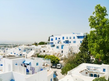 traditional white and blue houses in sidi bou said, tunisia.