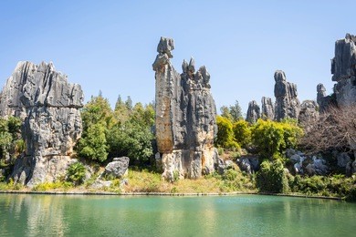 stone pillars inside stone forest or shilin stone forest is a notable set of limestone formations in yunnan province, china