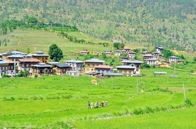 tiny bhutanese village and rice fields in punakha, bhutan