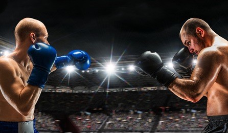 box match best moments . mixed media