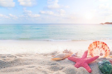 concept of summertime on tropical beach. seaside summer beach with starfish, shells, coral on sandbar and blur sea background. vintage color tone.