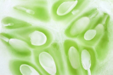 closeup macro of cucumber.