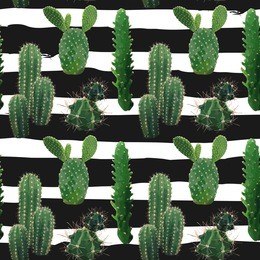 vector cactus plant seamless pattern. exotic tropical summer botanical background.