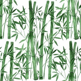 bamboo on white background.hand drawn watercolor seamless  illustration .