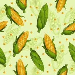 seamless pattern with fresh corn 