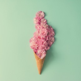 ice cream cone with pink flowers and leaves. summer minimal concept. flat lay.