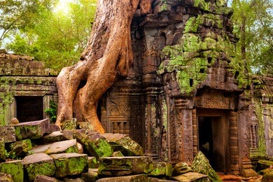 ta prohm temple. ancient khmer architecture under the giant roots of a tree at angkor wat complex, siem reap, cambodia.