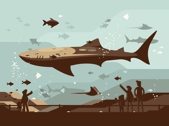 aquarium with large marine fishes