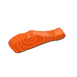 piece of fresh red salmon fish
