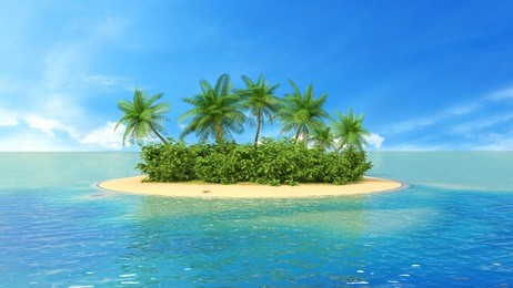 tropical paradise beach with palm tree. 3d illustration