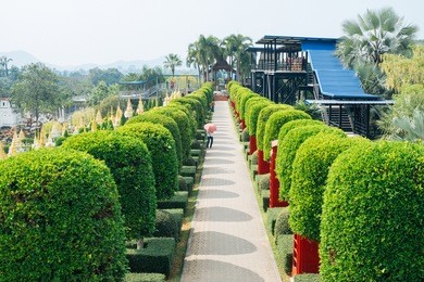 nong nooch tropical botanical garden is a 500-acre botanical garden and tourist attraction at kilometer 163 on sukhumvit road in chonburi province, thailand.
