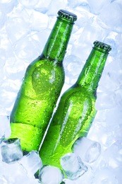 beer chilled in ice on white-blue background