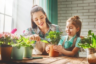 cute child girl helps her mother to care for plants. mom and her daughter engaged in gardening near window at home. happy family in spring day.