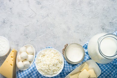 dairy products. cottage cheese, sour cream, milk, egg, cheese and butter. top view with copy space