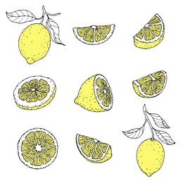 funny lemon, a character vector. illustration on white background.