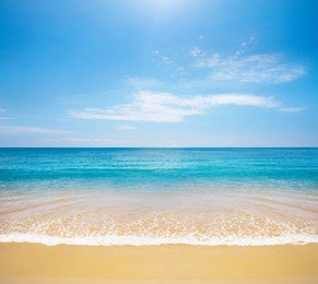 beach and tropical sea