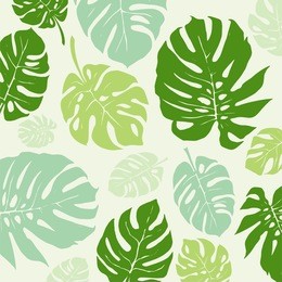 green monstera tropical leaf pattern. vector
