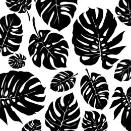 black and white monstera tropical leaf pattern. vector