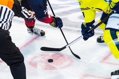 ice hockey player on the ice 