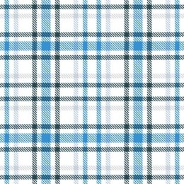 blue and white tartan seamless vector pattern. checkered plaid texture. geometrical simple square background for fabric, textile, cloth, clothing, shirts, shorts, dress, blanket, wrapping design