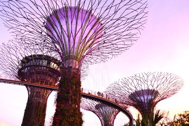 garden by the bay, singapore