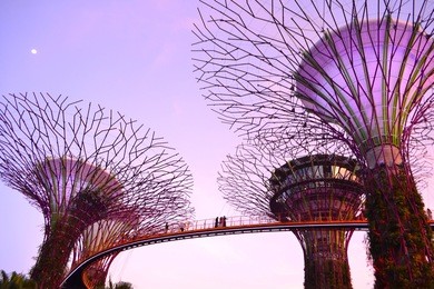 garden by the bay, singapore