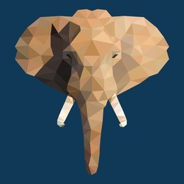 the elephant face created in low poly design. vector illustration