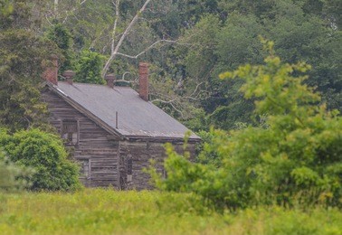 abandoned house in the woods with over grown foliage all around it