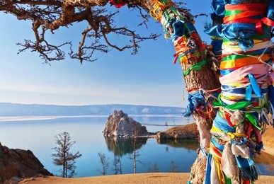 lake baikal. olkhon island. colored ribbons tied on a wish tree against the background of a spring ice drift and the shamanka rock