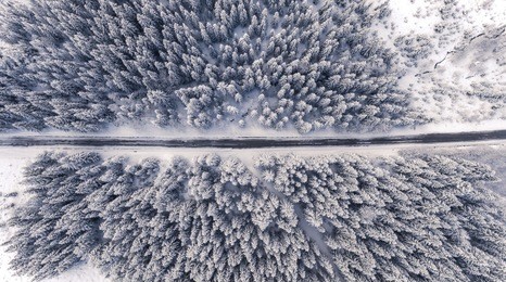 aerial drone view of road in idyllic winter landscape. street running through the nature from a birds eye view.