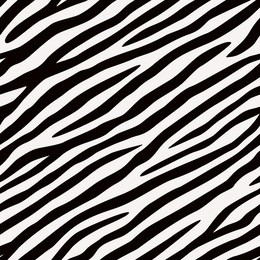 seamless pattern zebra. black and white colors.