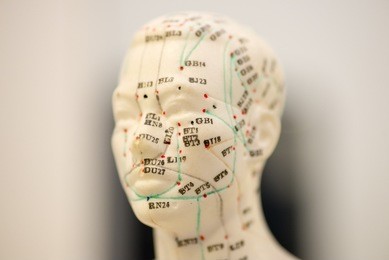 acupuncture head points 