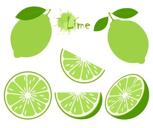 lime with green leaves, slice citrus isolated on white background. tropical fruits. raw and vegetarian food. vector illustration.